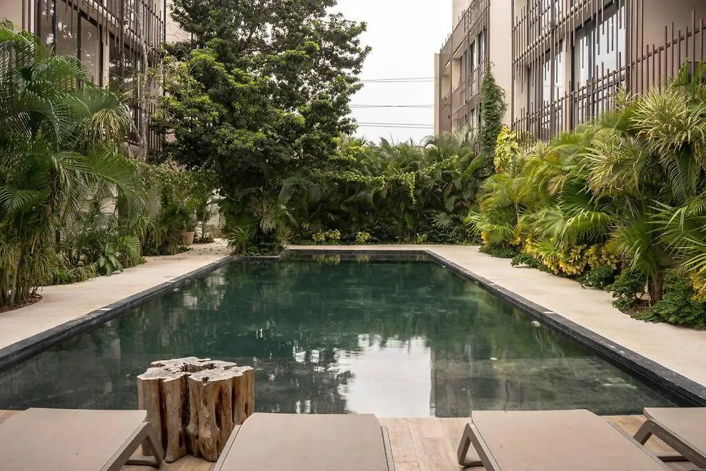 Apartment New 1 Bedroom-Tulum- Wterrace